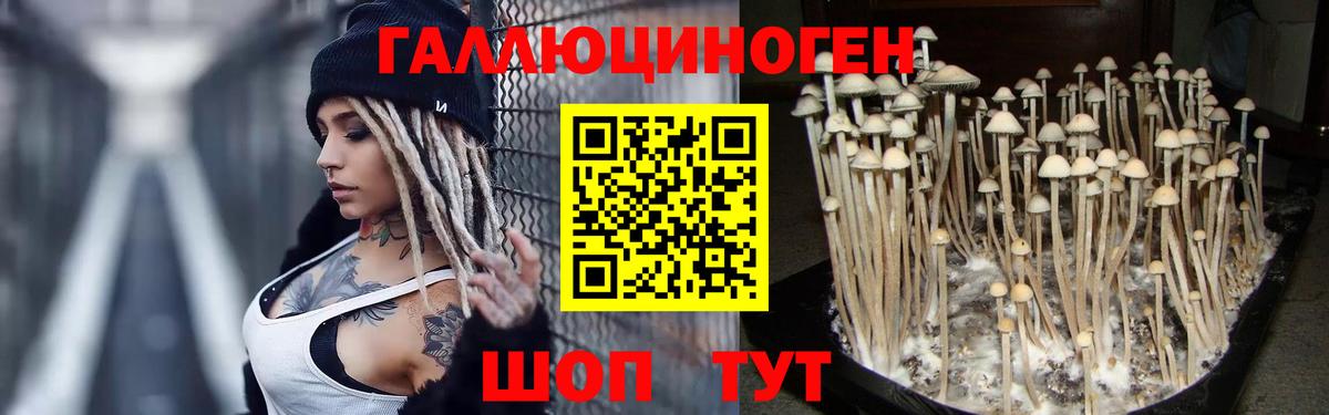 Псилоцибиновые грибы ЛСД  Вход с VPN  Галлюциногенные грибы GOLDEN TEACHER  Россия 